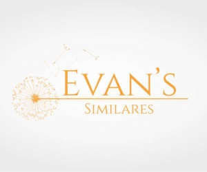 Criação de logotipo Evans Similares