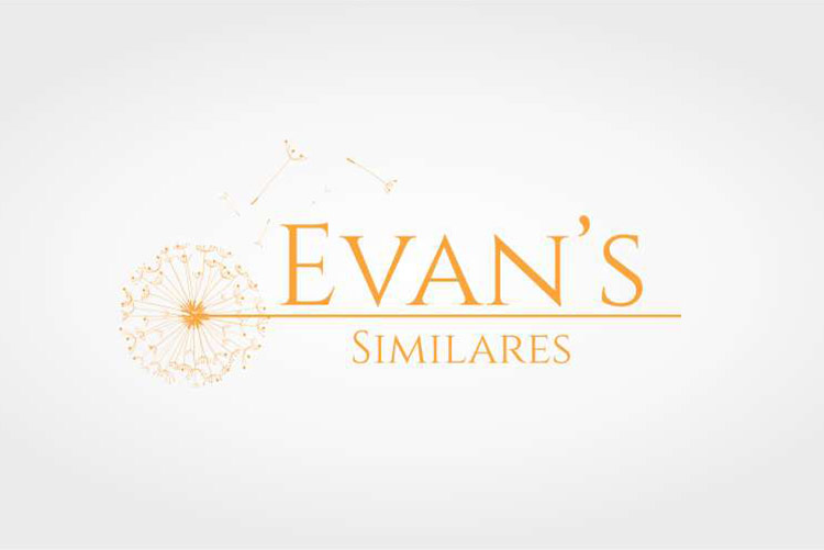 Criação de logotipo Evans Similares